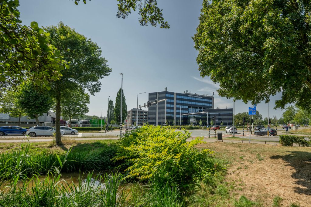 ip260715lh1 156